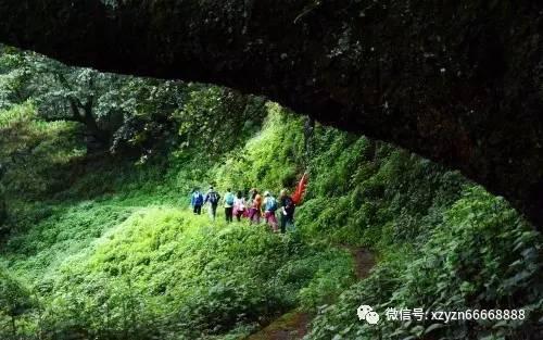 万词王