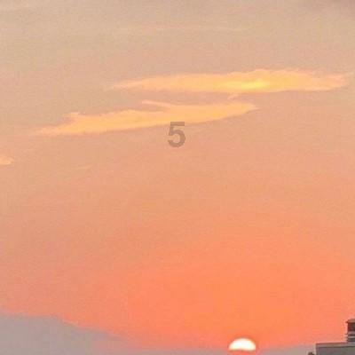 88影视