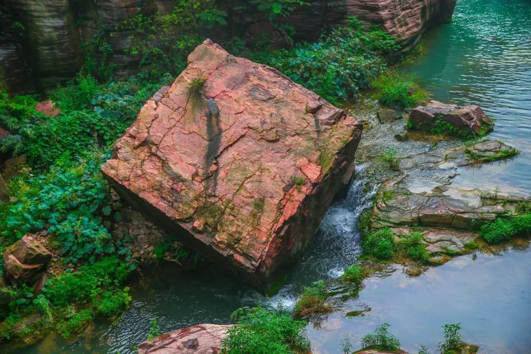 植物大战僵尸18