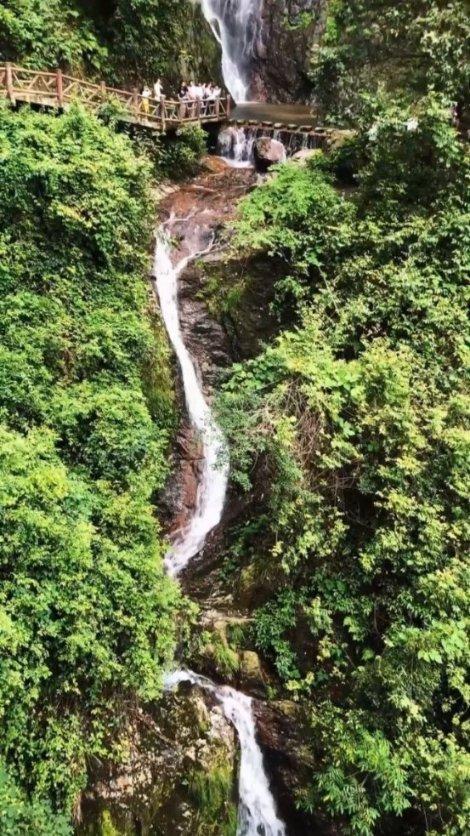 大山羔羊逃生