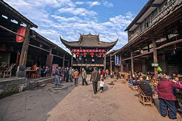 都匀市多端发力推动茶产业高质量发展